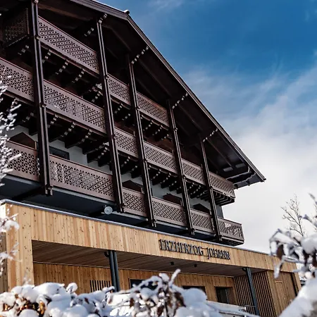 Hotel Erzherzog Johann Alpin Style - Adults Only 4*