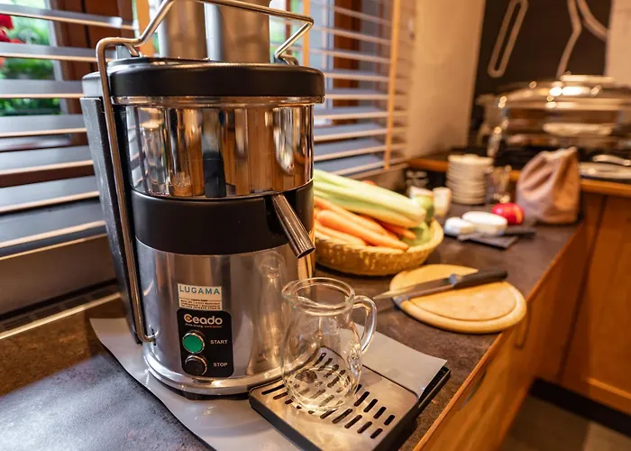 Erzherzog Johann Alpin Style Hotel - Adults Only Schladming