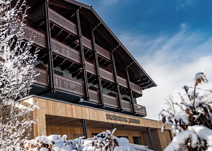 Hotel Erzherzog Johann Alpin Style - Adults Only 4*